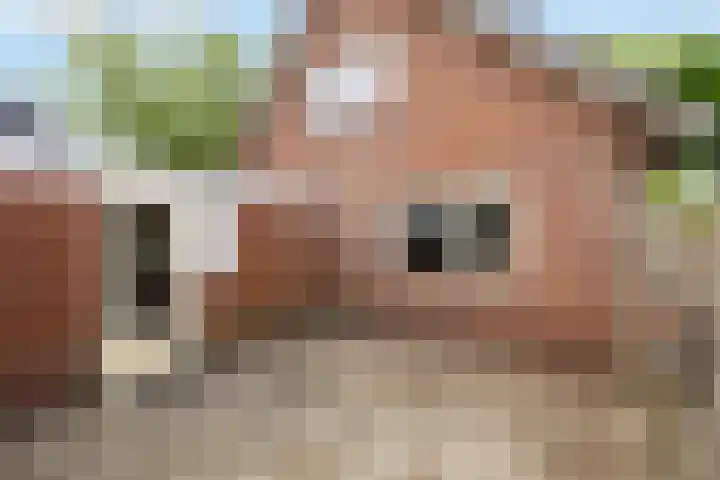 Elskampweg 16 Luttenberg thumbnail 27