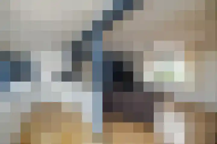 Elskampweg 16 Luttenberg thumbnail 30