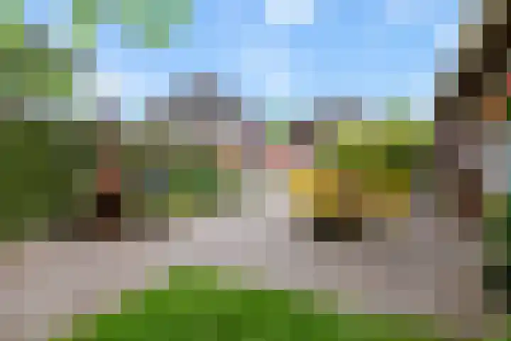 Elskampweg 16 Luttenberg thumbnail 35
