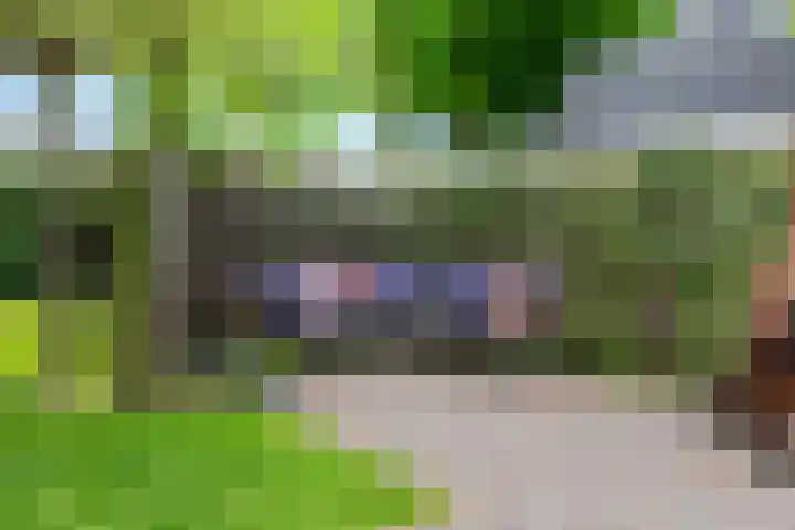 Elskampweg 16 Luttenberg thumbnail 36