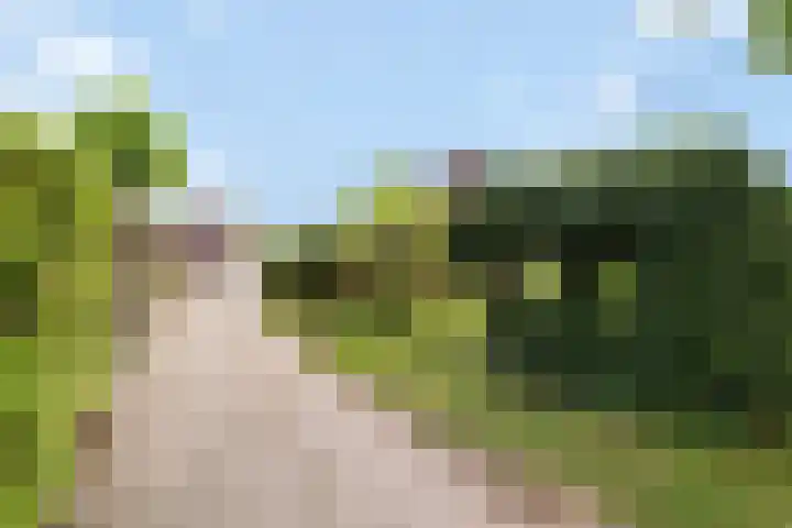 Elskampweg 16 Luttenberg thumbnail 37