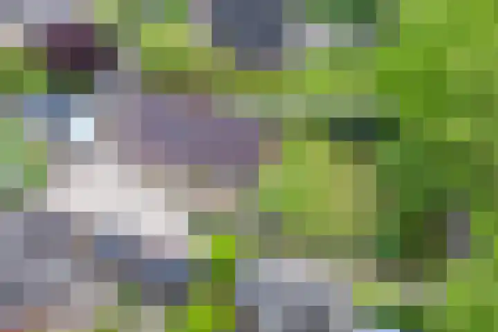 Elskampweg 16 Luttenberg thumbnail 38