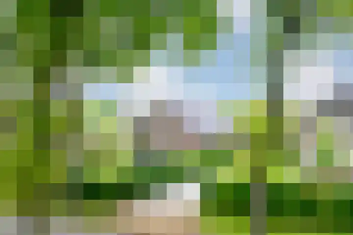Elskampweg 16 Luttenberg thumbnail 39