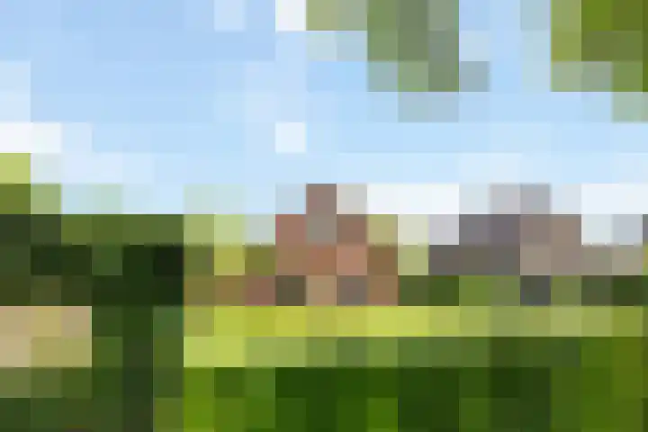 Elskampweg 16 Luttenberg thumbnail 4
