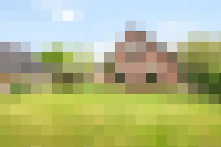 Elskampweg 16 Luttenberg thumbnail 5