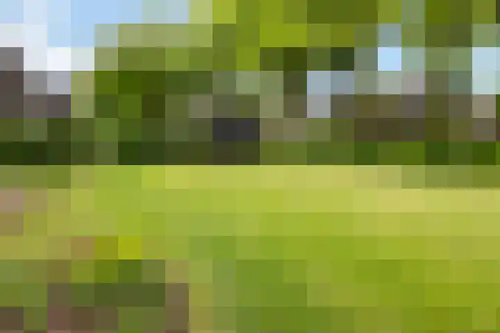 Elskampweg 16 Luttenberg thumbnail 6
