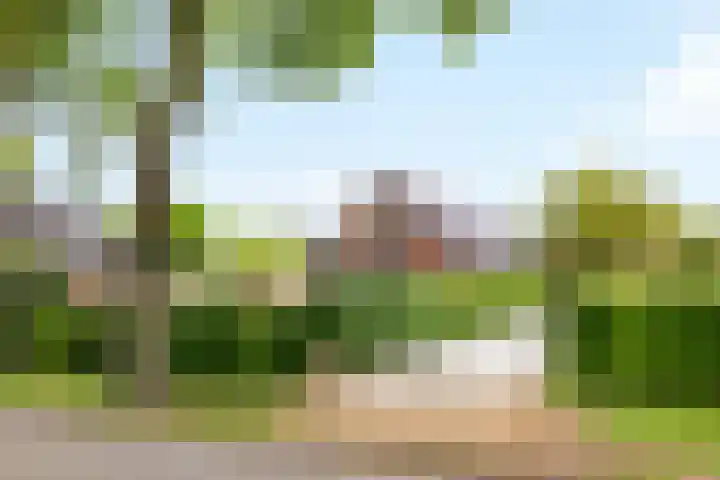 Elskampweg 16 Luttenberg thumbnail 7
