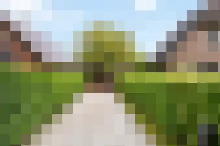 Elskampweg 16 Luttenberg thumbnail 8