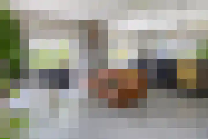 Elskampweg 16 Luttenberg thumbnail 9