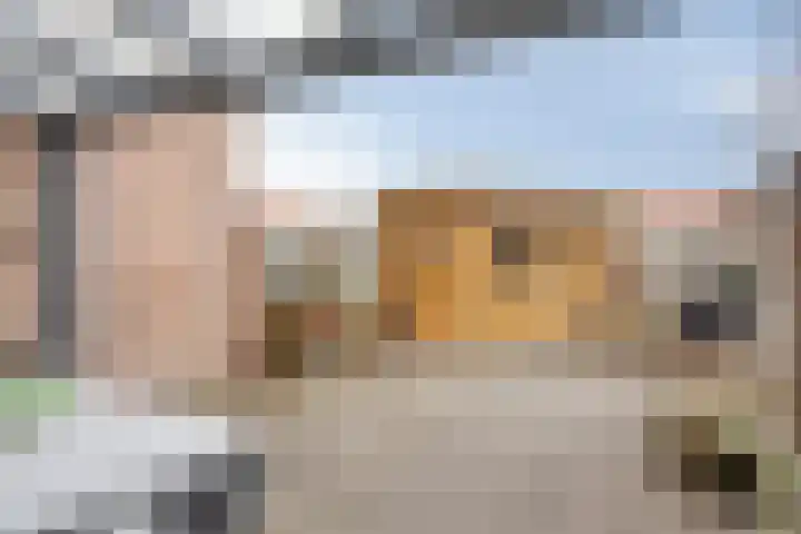 Elsland 1139 Wijchen thumbnail 26