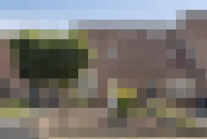 Elsland 1307 Wijchen