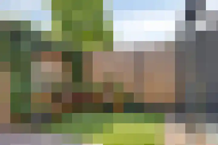 Elsland 1307 Wijchen thumbnail 26