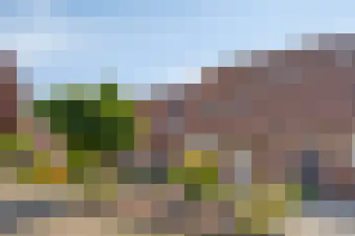 Elsland 1307 Wijchen thumbnail 27