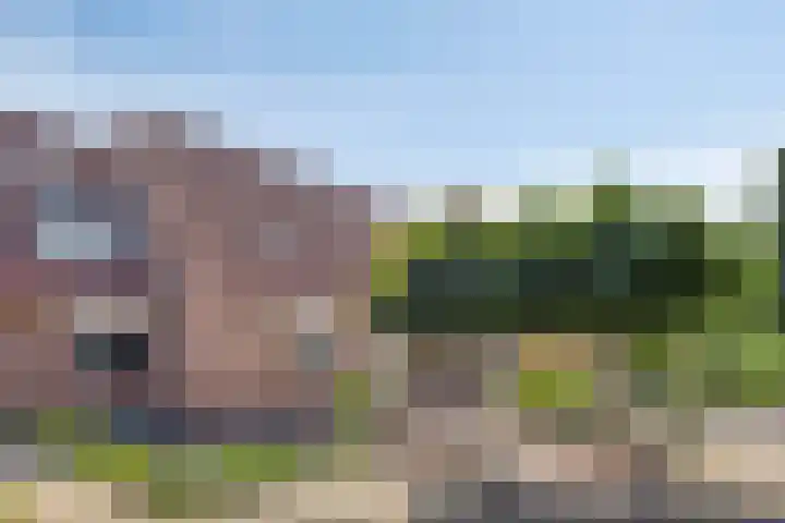 Elsland 1307 Wijchen thumbnail 28