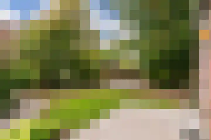 Elsland 1317 Wijchen thumbnail 10