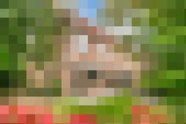 Elsland 1317 Wijchen thumbnail 11
