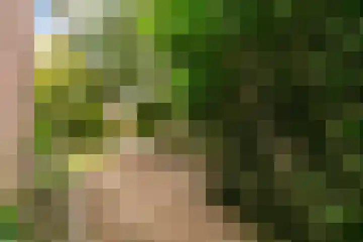Elsland 1317 Wijchen thumbnail 12