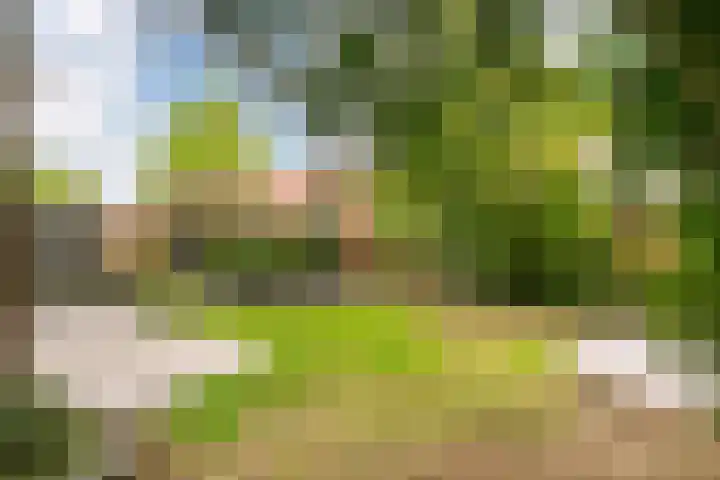 Elsland 1317 Wijchen thumbnail 13
