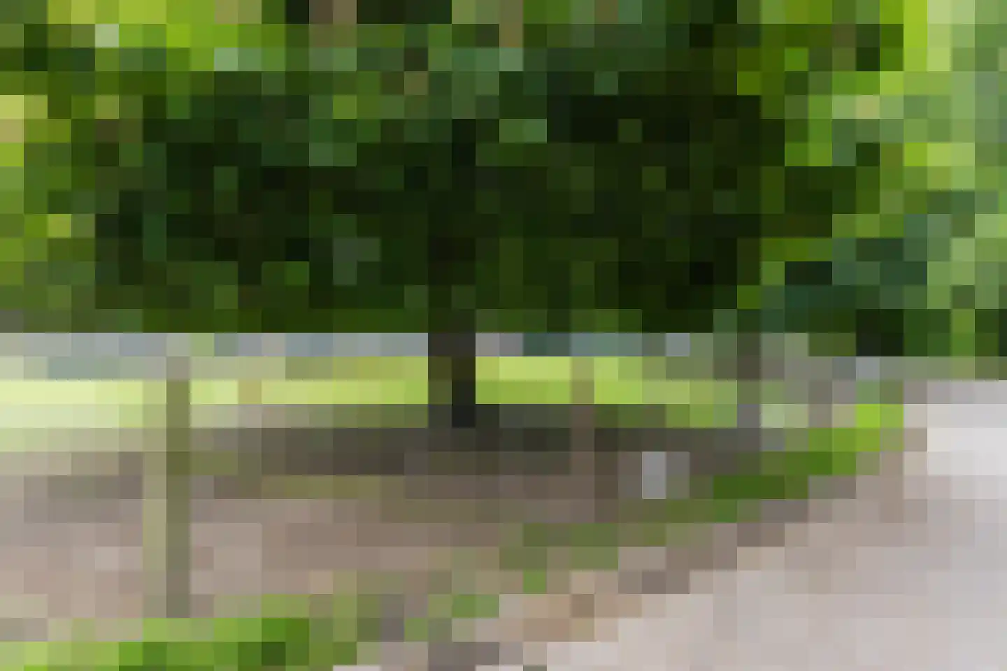 Elsland 1420 Wijchen thumbnail 34