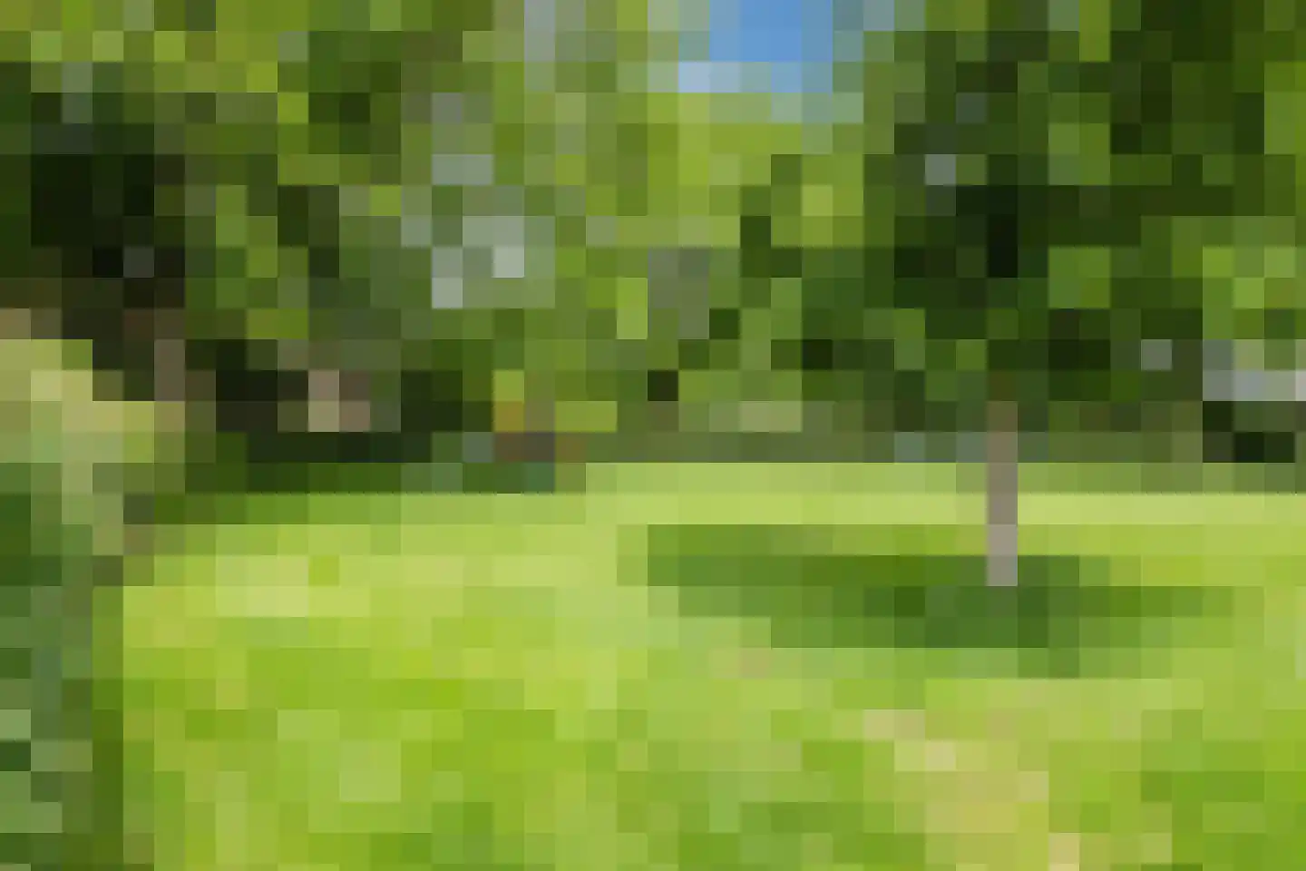 Elsland 1420 Wijchen thumbnail 35