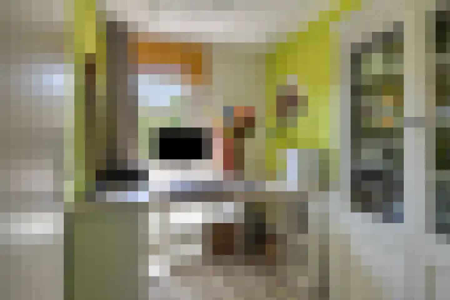 Elsland 1515 Wijchen thumbnail 20