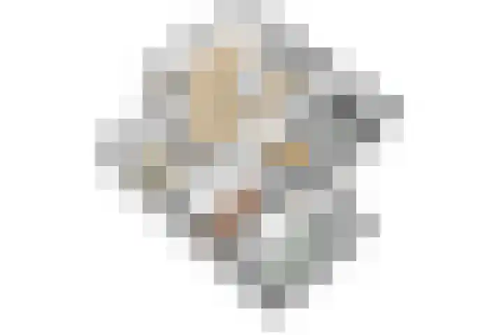 Elsland 1535 Wijchen thumbnail 27
