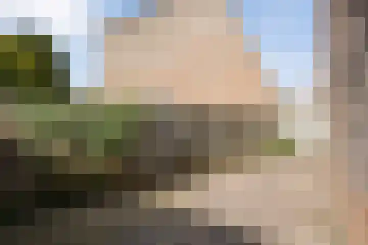 Elsland 1549 Wijchen thumbnail 26
