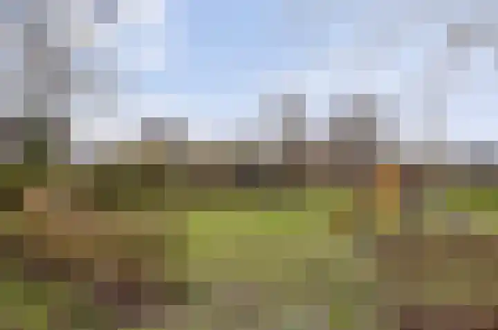Elsland 1549 Wijchen thumbnail 31