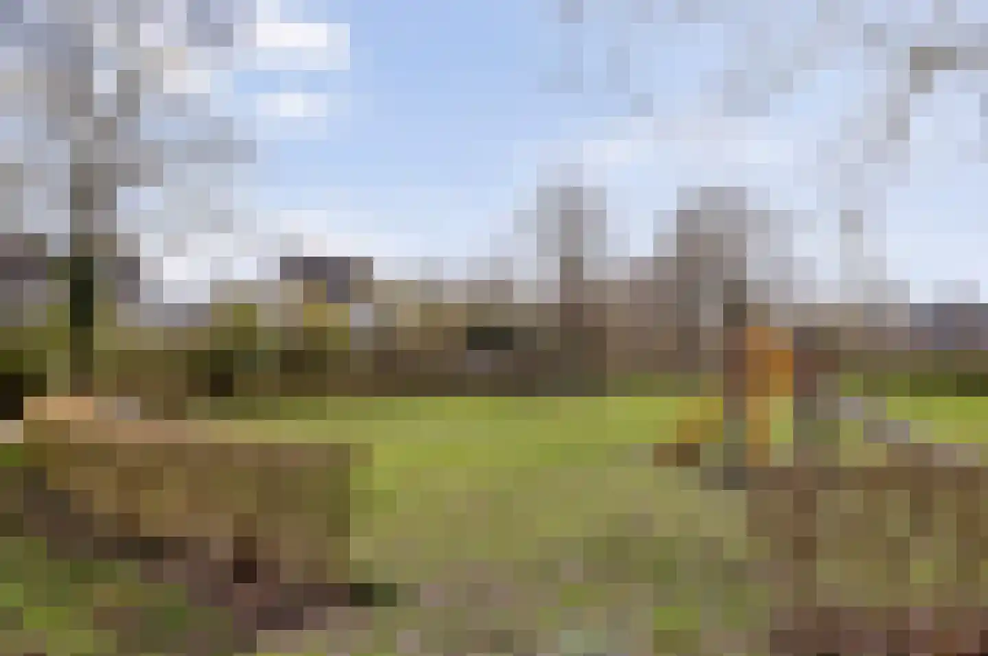 Elsland 1549 Wijchen thumbnail 32
