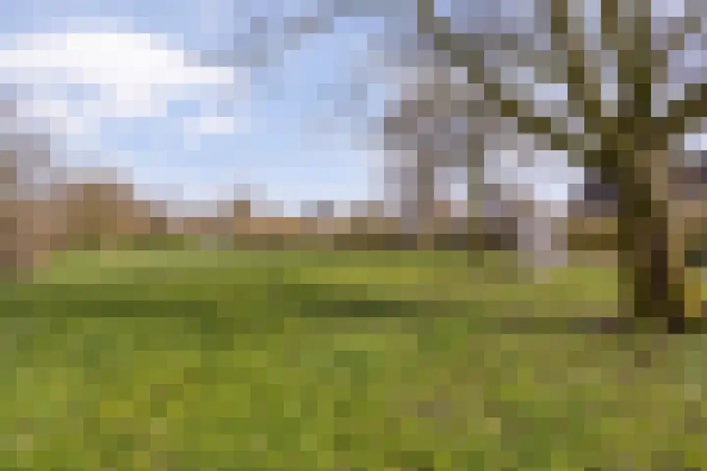 Elsland 1549 Wijchen thumbnail 33
