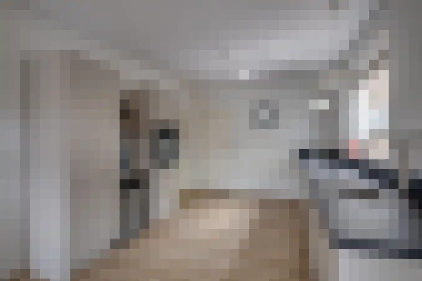 Elsmaat 17 Laren thumbnail 10