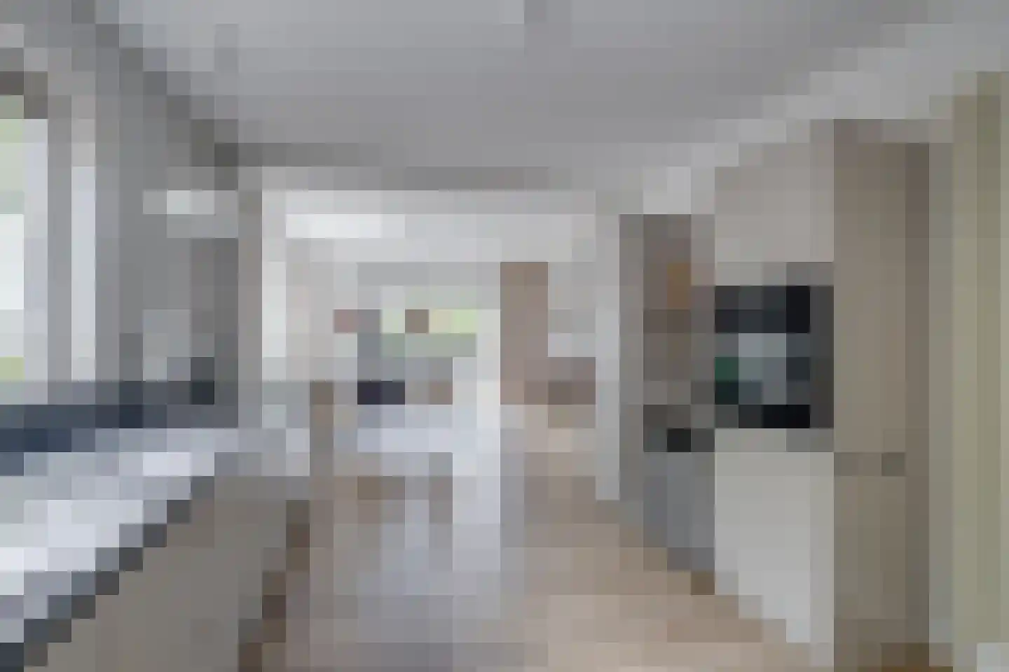 Elsmaat 17 Laren thumbnail 11