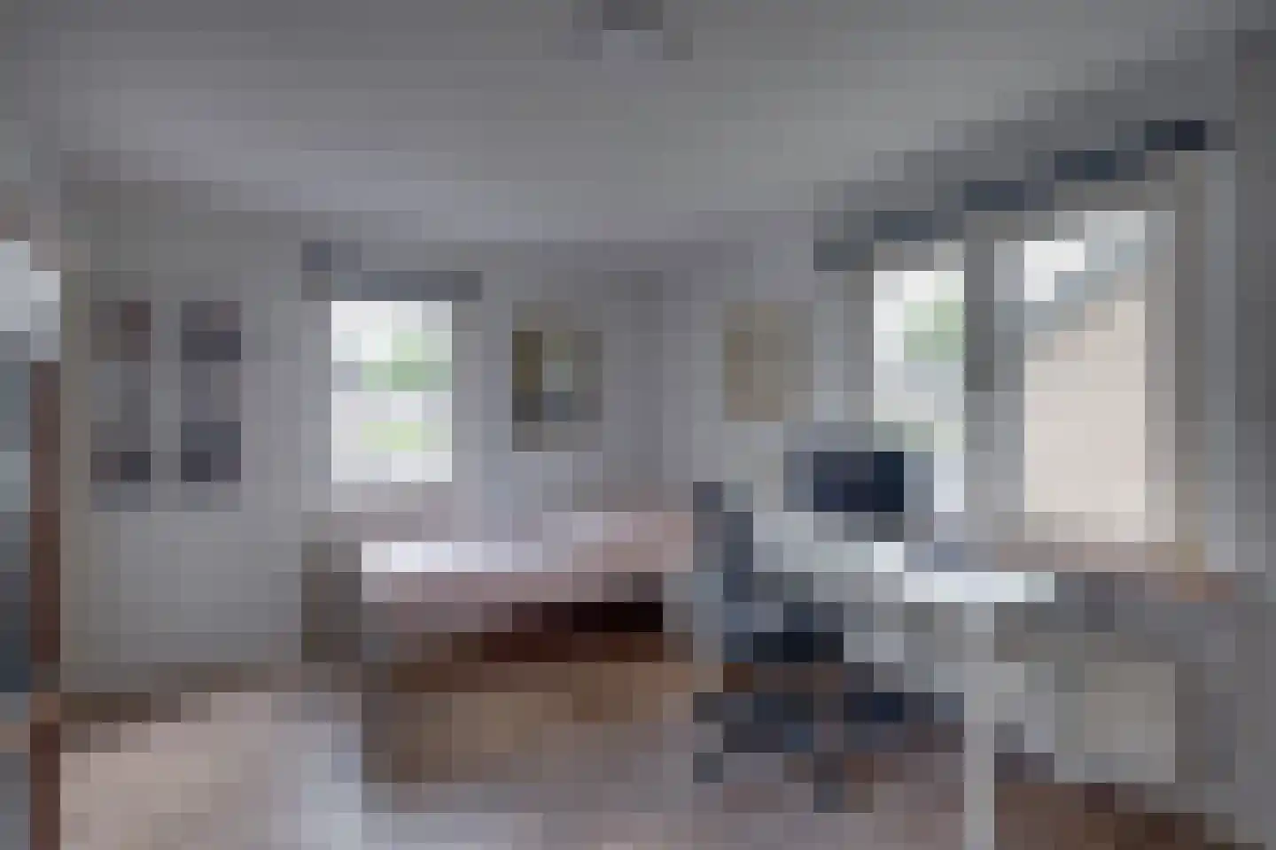 Elsmaat 17 Laren thumbnail 17