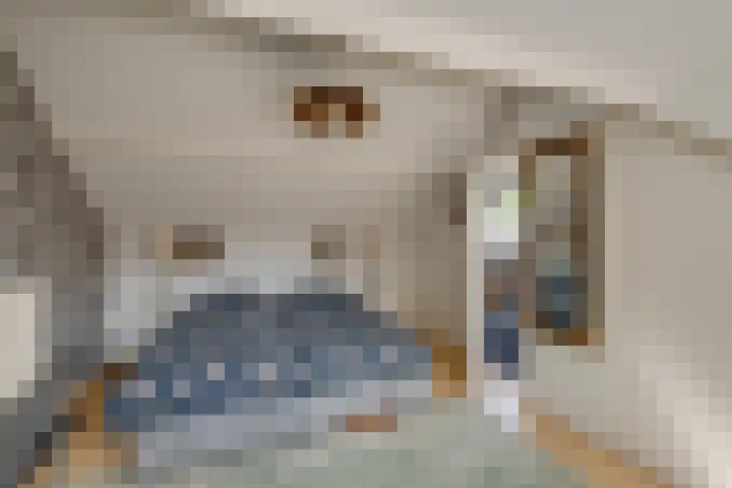 Elsmaat 17 Laren thumbnail 23
