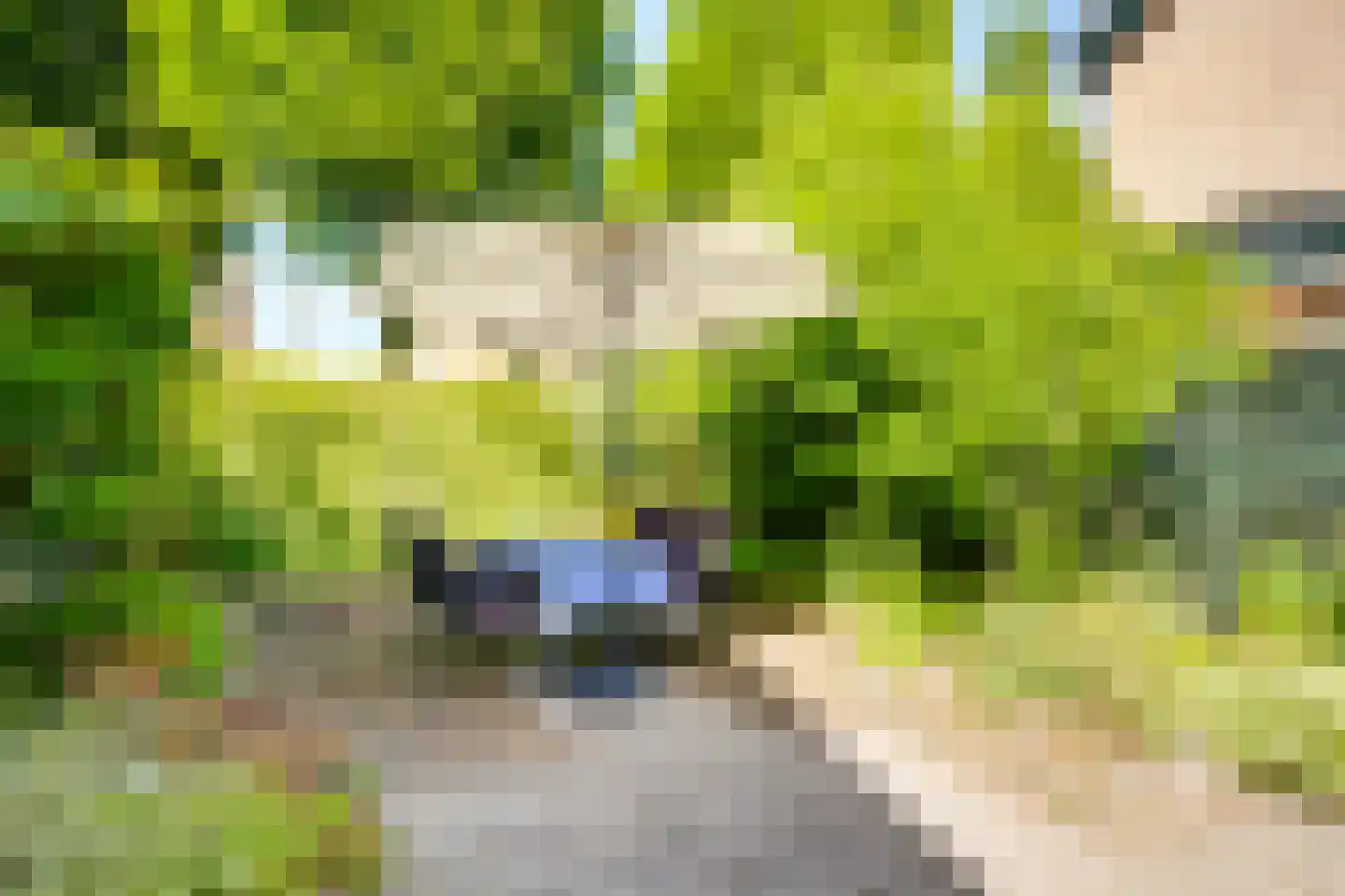 Elsmaat 17 Laren thumbnail 29
