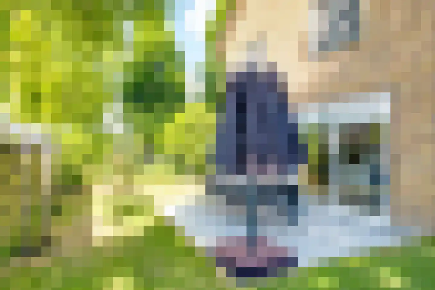 Elsmaat 17 Laren thumbnail 31