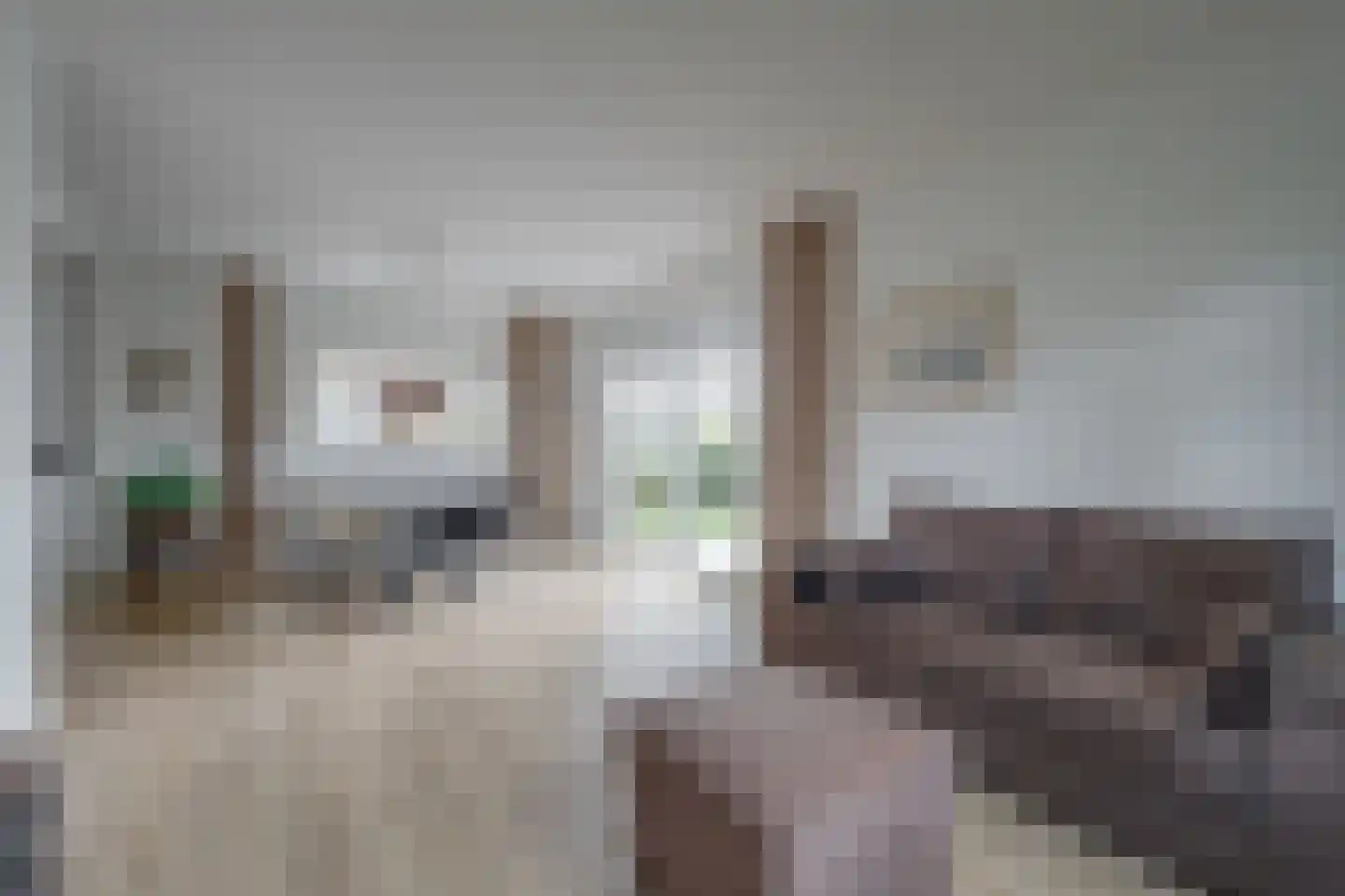 Elsmaat 17 Laren thumbnail 5