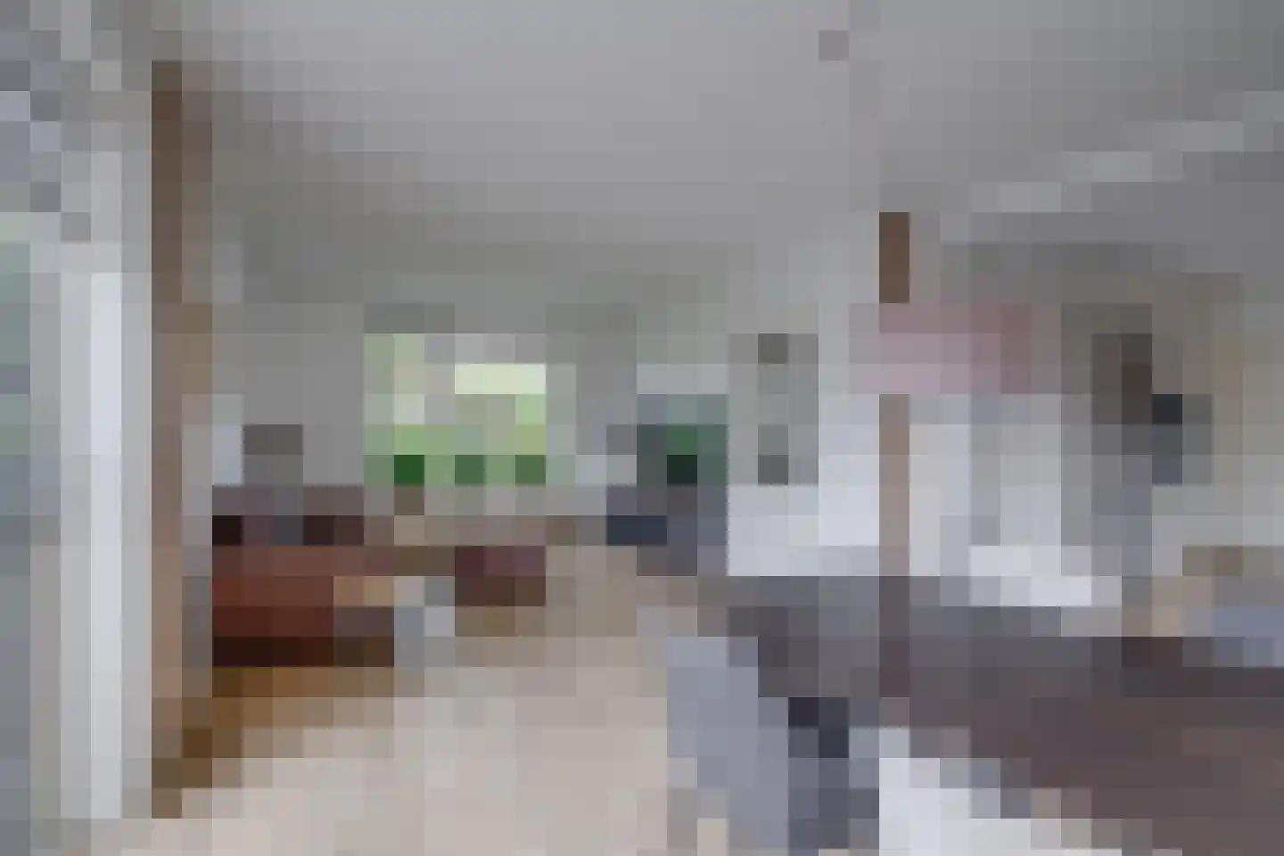 Elsmaat 17 Laren thumbnail 7