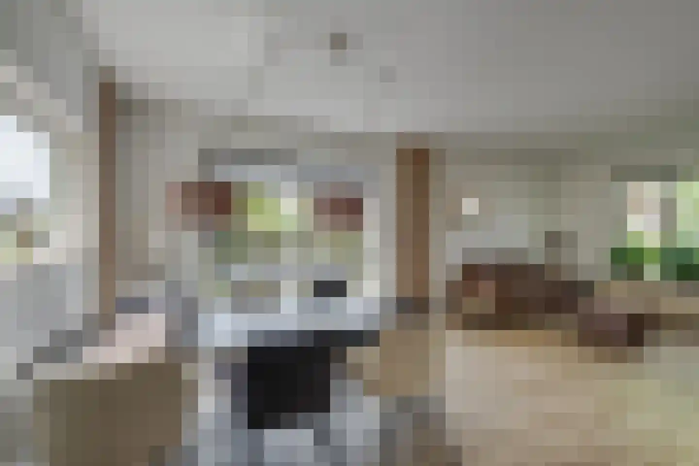 Elsmaat 17 Laren thumbnail 9