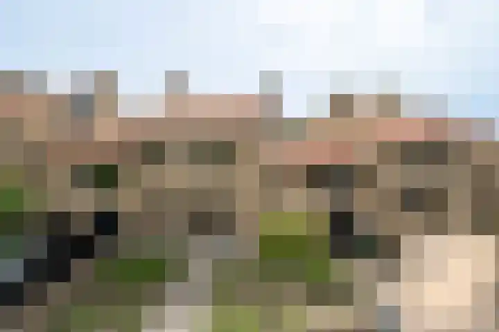 Elsmaathorst 44 en Enschede