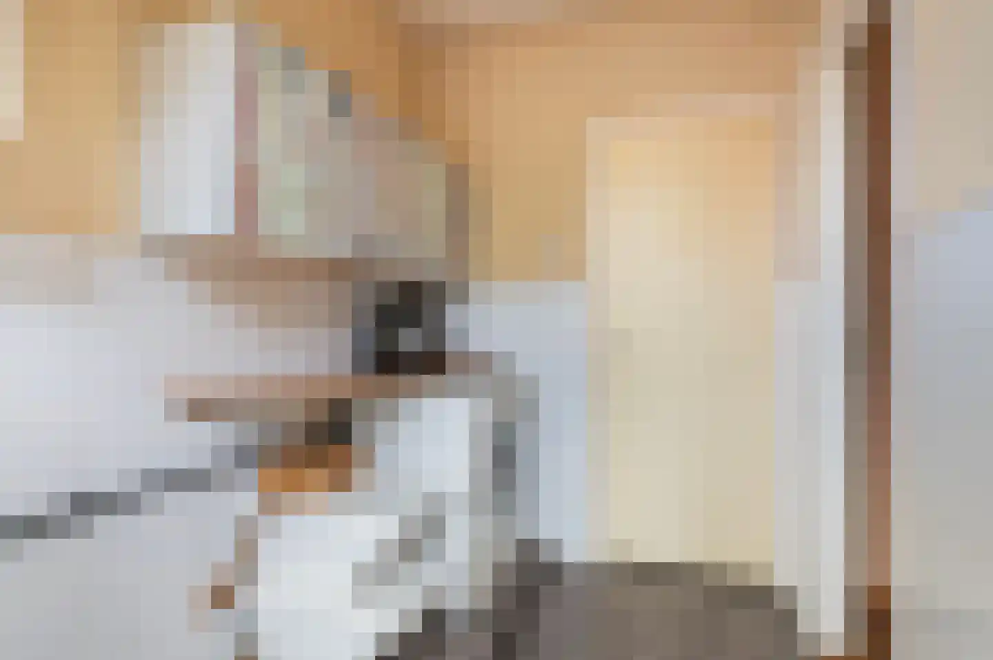 Elsmarsweg 1 Hengelo thumbnail 13