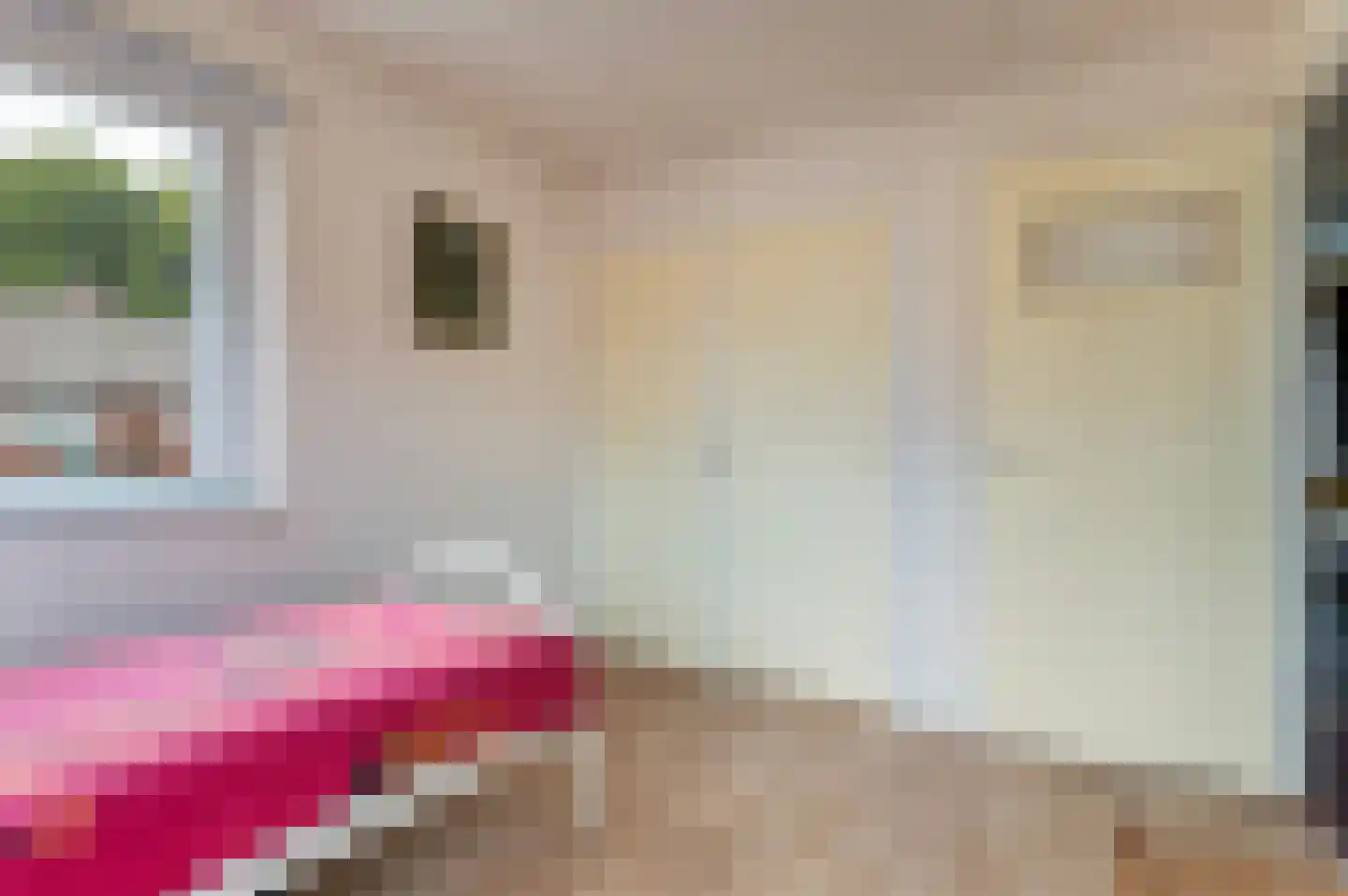 Elsmarsweg 1 Hengelo thumbnail 23