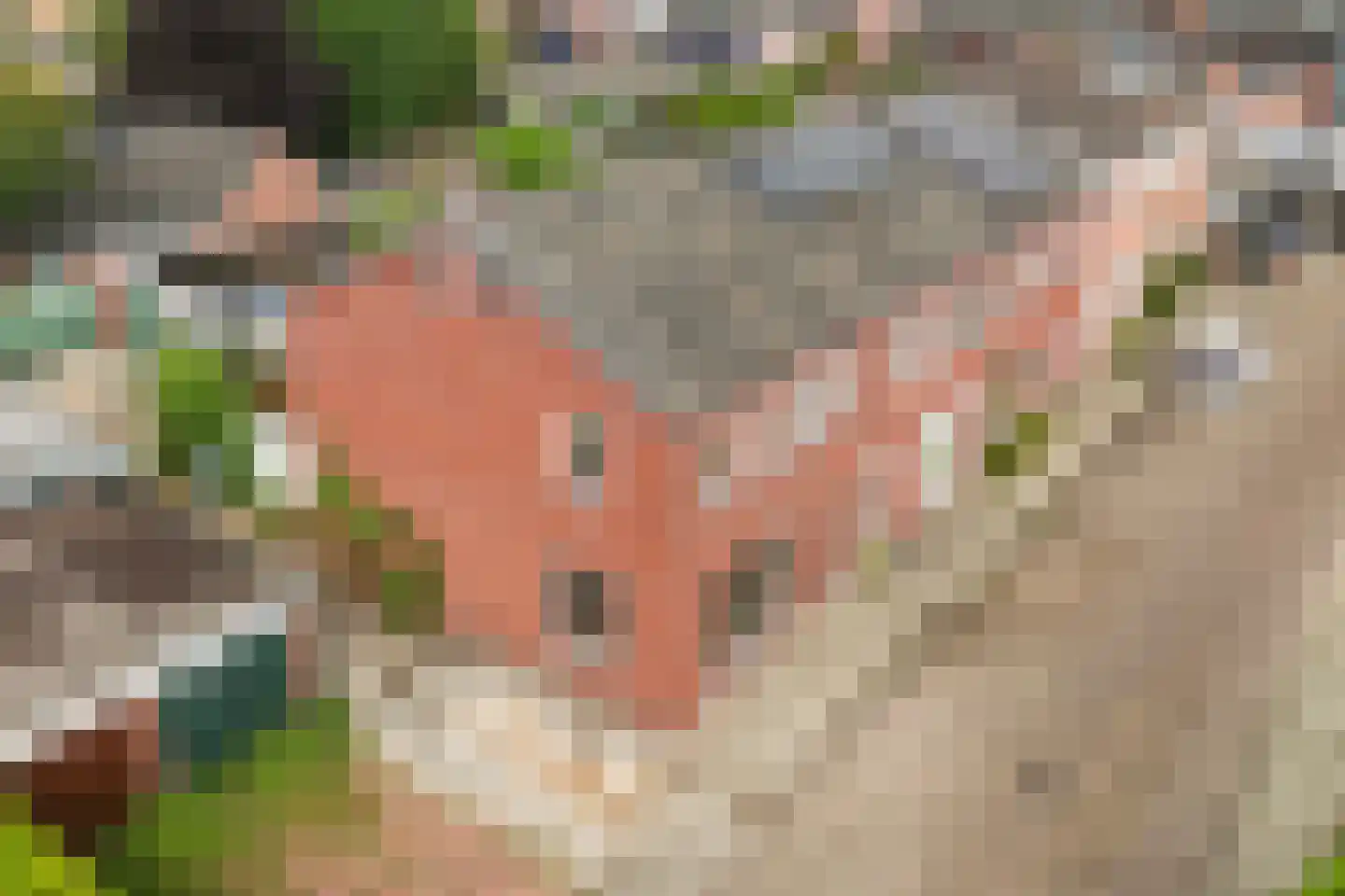 Elsmarsweg 1 Hengelo thumbnail 33