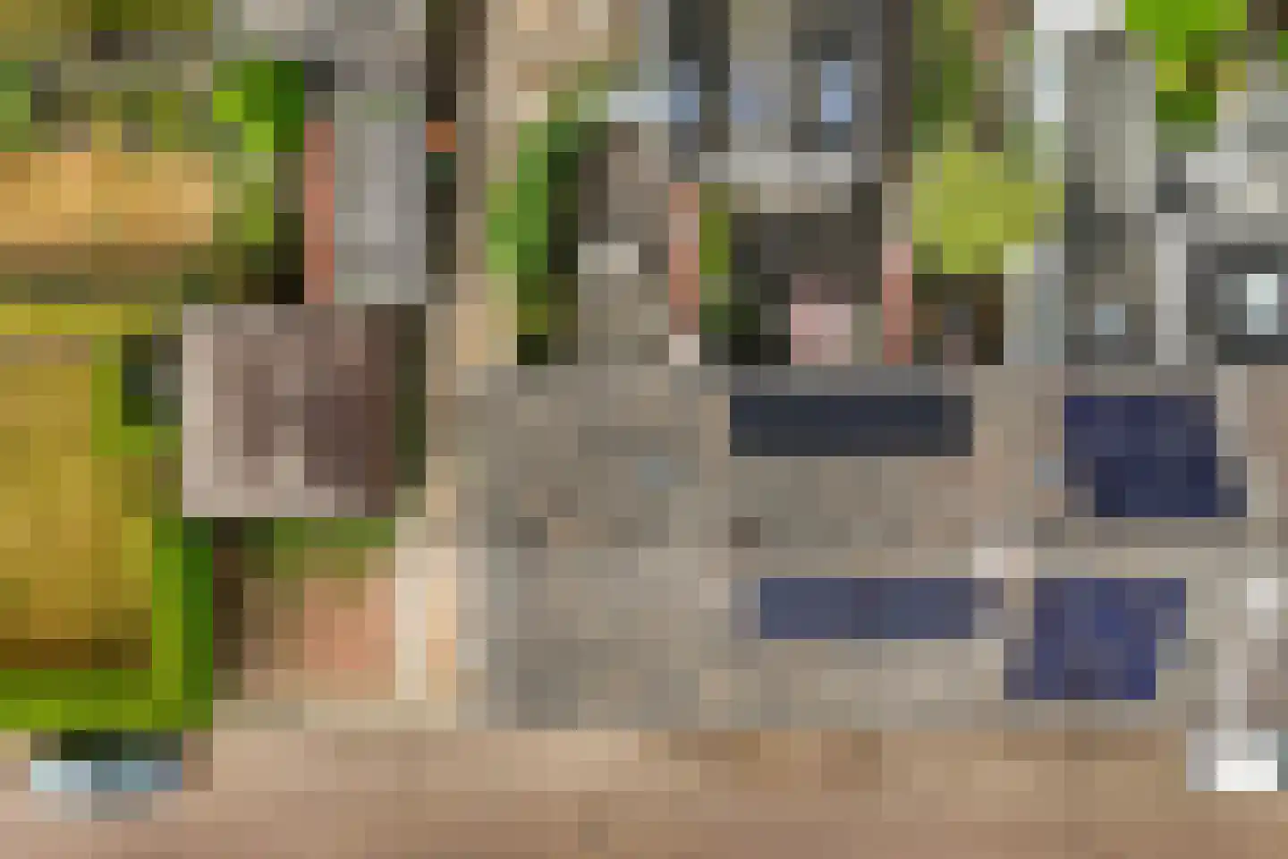 Elsmarsweg 1 Hengelo thumbnail 34