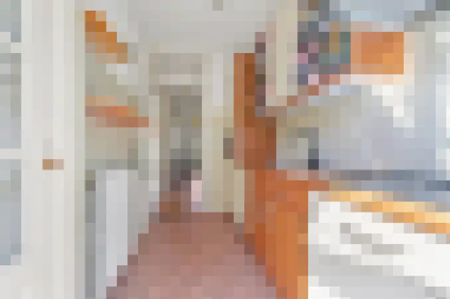 Elspeetstraat 14 Den Haag thumbnail 12