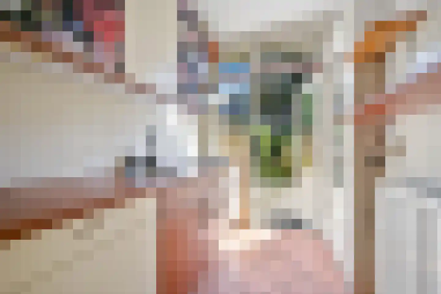 Elspeetstraat 14 Den Haag thumbnail 13
