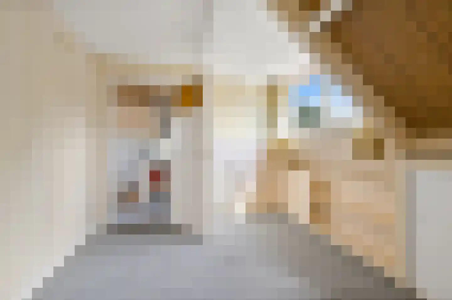 Elspeetstraat 14 Den Haag thumbnail 39