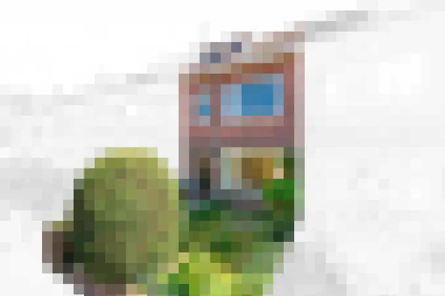 Elspeetstraat 14 Den Haag thumbnail 41