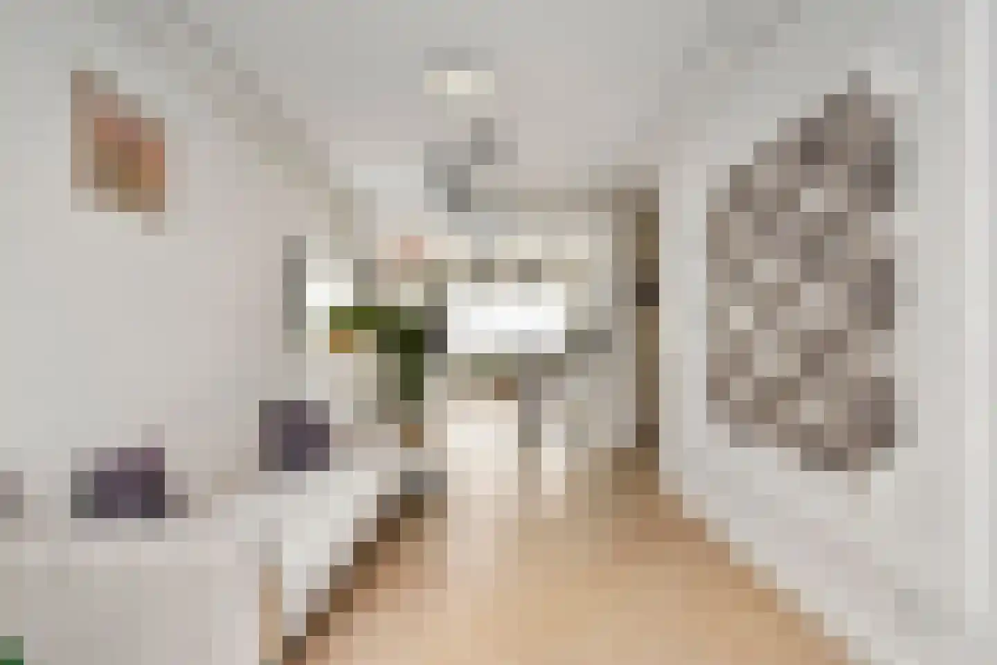 Elspeetstraat 17 Den Haag thumbnail 10