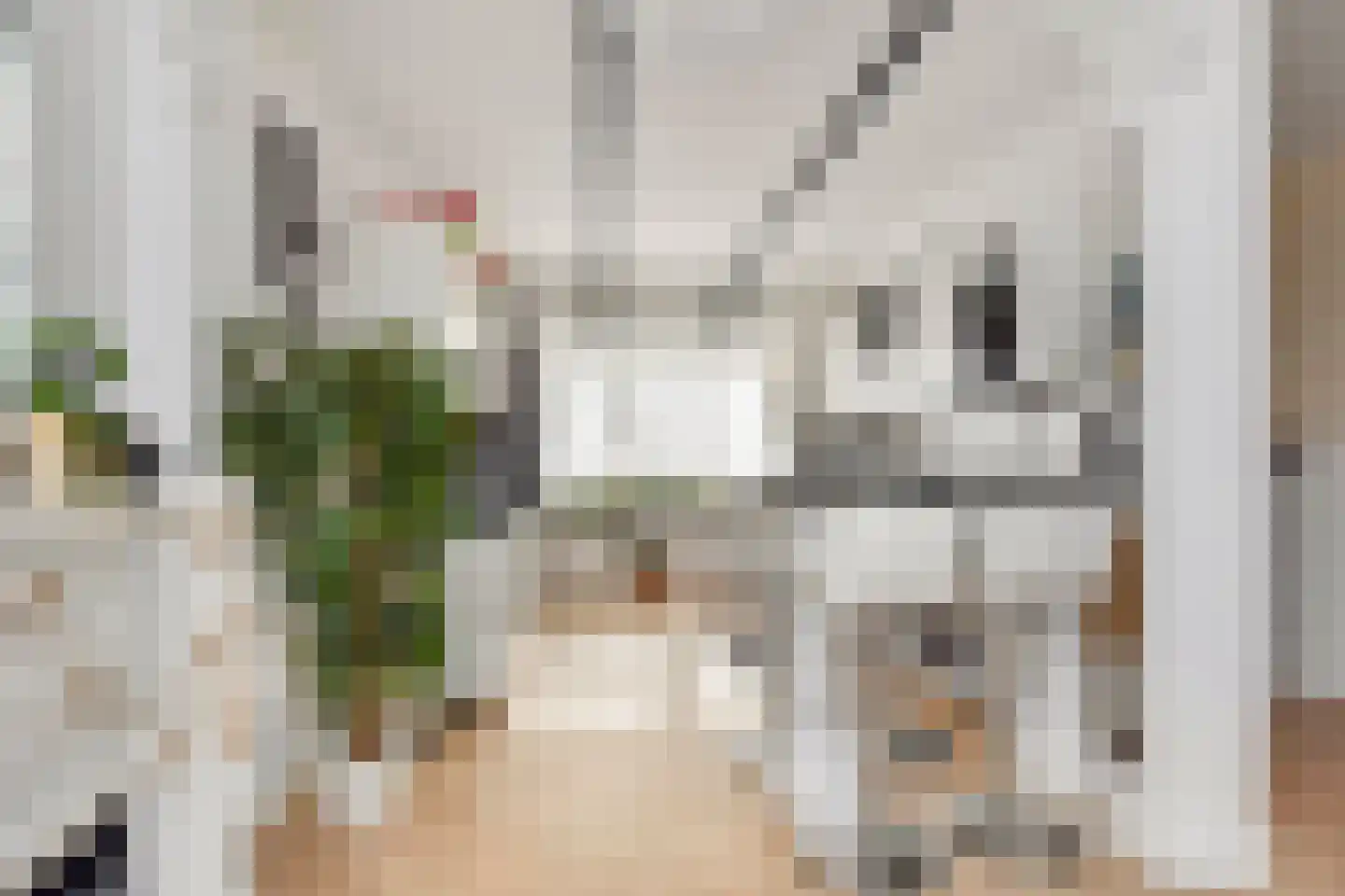 Elspeetstraat 17 Den Haag thumbnail 11